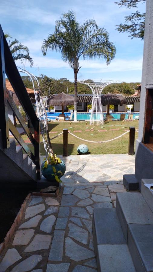 Seriemas Pirenopolis